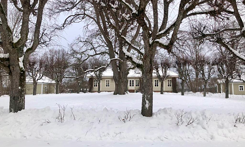 Михайловское. Зима 15 января